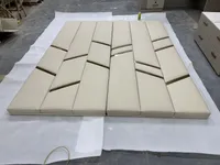 20250213001